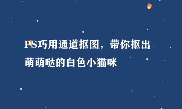 PS巧用通道抠图，带你抠出萌萌哒的白色小猫咪