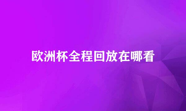 欧洲杯全程回放在哪看