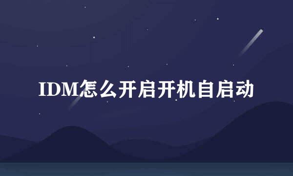 IDM怎么开启开机自启动