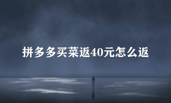 拼多多买菜返40元怎么返