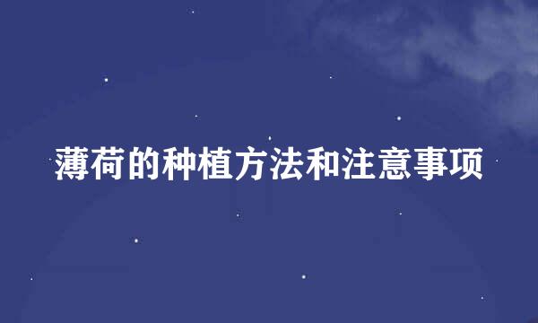 薄荷的种植方法和注意事项