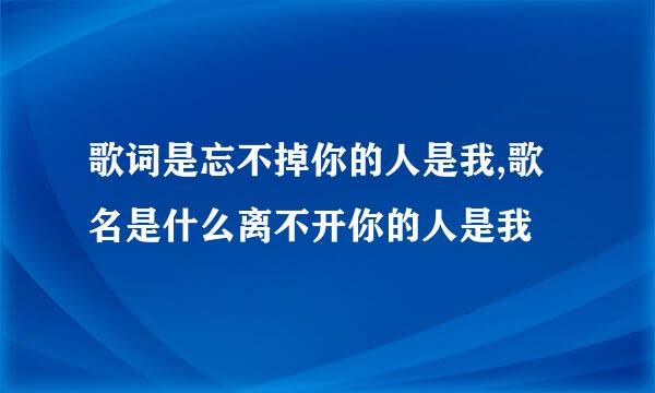 歌词是忘不掉你的人是我,歌名是什么离不开你的人是我