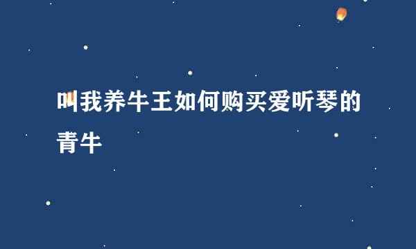 叫我养牛王如何购买爱听琴的青牛