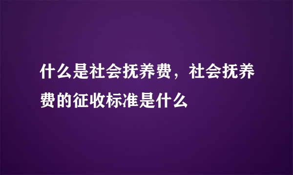 什么是社会抚养费，社会抚养费的征收标准是什么