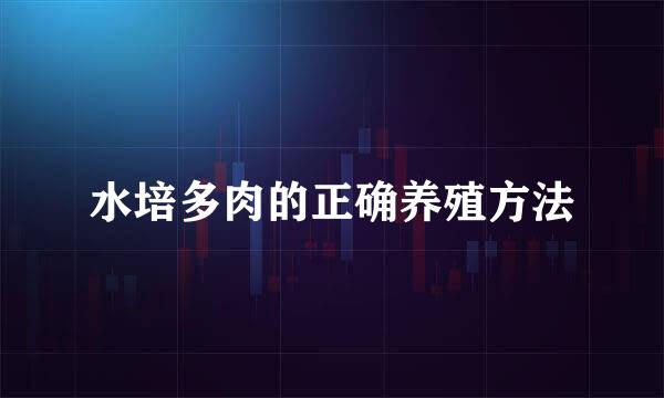 水培多肉的正确养殖方法