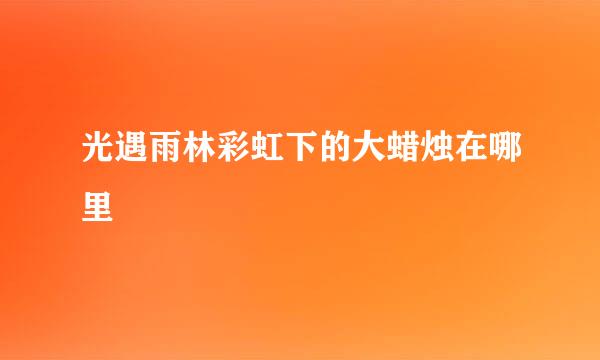 光遇雨林彩虹下的大蜡烛在哪里