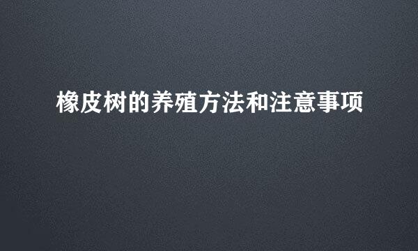 橡皮树的养殖方法和注意事项