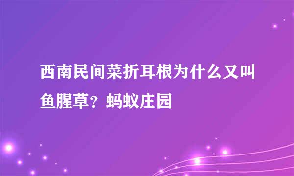 西南民间菜折耳根为什么又叫鱼腥草？蚂蚁庄园
