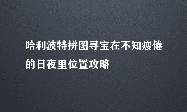 哈利波特拼图寻宝在不知疲倦的日夜里位置攻略
