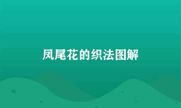 凤尾花的织法图解