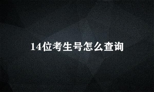 14位考生号怎么查询