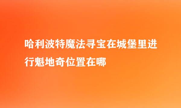 哈利波特魔法寻宝在城堡里进行魁地奇位置在哪