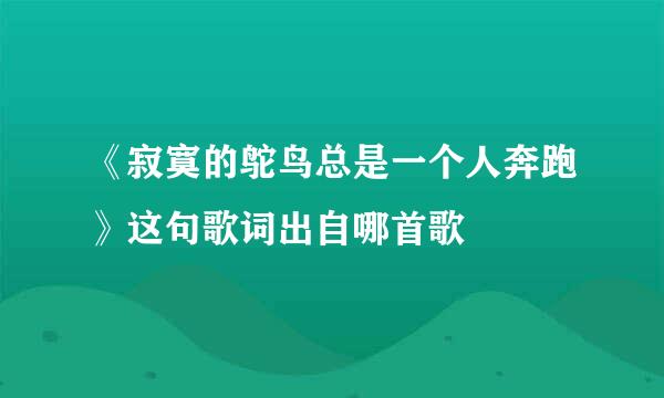 《寂寞的鸵鸟总是一个人奔跑》这句歌词出自哪首歌