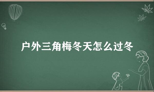 户外三角梅冬天怎么过冬