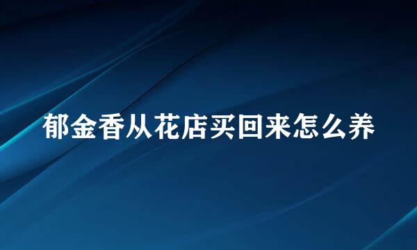 郁金香从花店买回来怎么养