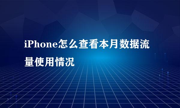 iPhone怎么查看本月数据流量使用情况