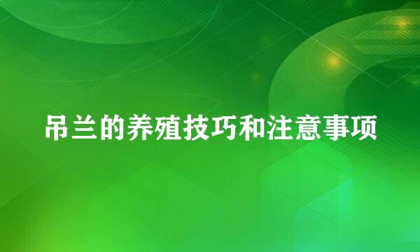 吊兰的养殖技巧和注意事项