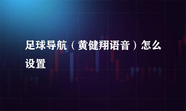足球导航（黄健翔语音）怎么设置
