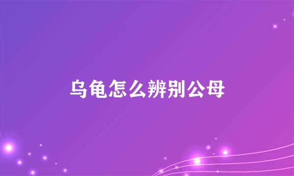 乌龟怎么辨别公母