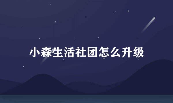 小森生活社团怎么升级