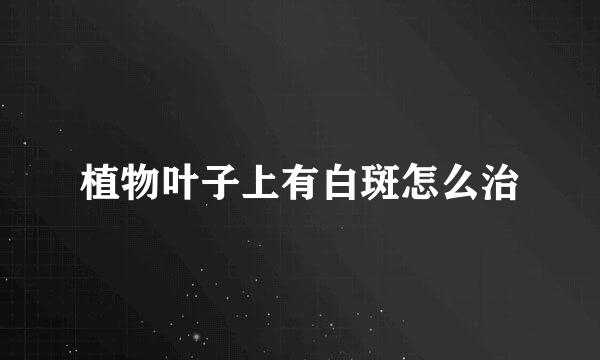 植物叶子上有白斑怎么治