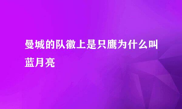 曼城的队徽上是只鹰为什么叫蓝月亮