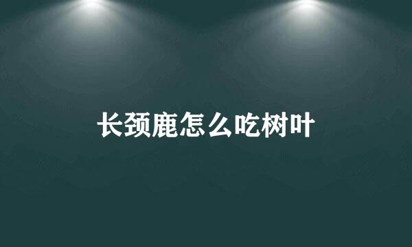 长颈鹿怎么吃树叶