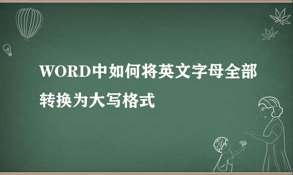 WORD中如何将英文字母全部转换为大写格式