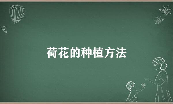 荷花的种植方法