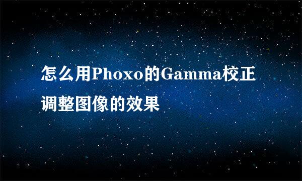 怎么用Phoxo的Gamma校正调整图像的效果