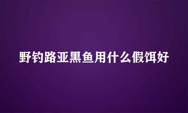 野钓路亚黑鱼用什么假饵好