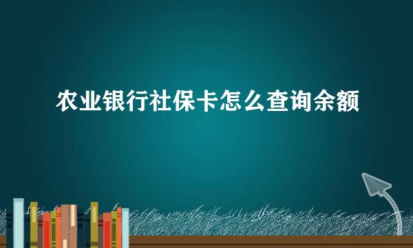 农业银行社保卡怎么查询余额