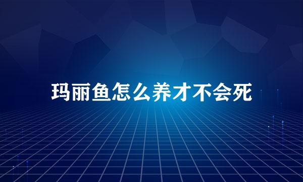 玛丽鱼怎么养才不会死