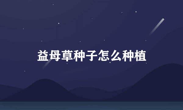 益母草种子怎么种植