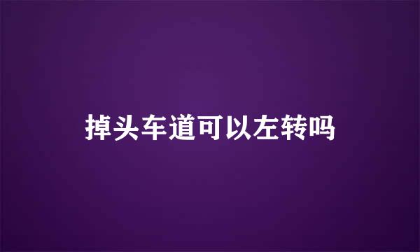 掉头车道可以左转吗