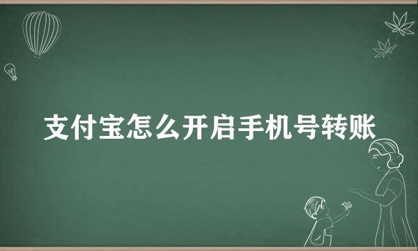 支付宝怎么开启手机号转账