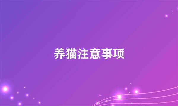 养猫注意事项
