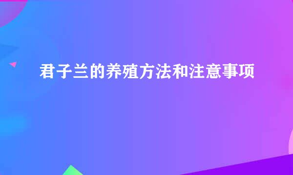 君子兰的养殖方法和注意事项