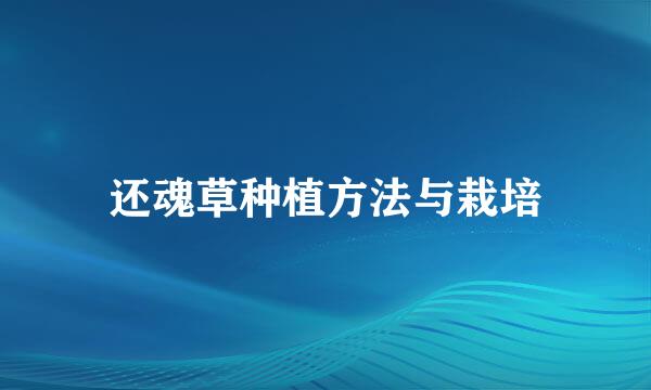 还魂草种植方法与栽培
