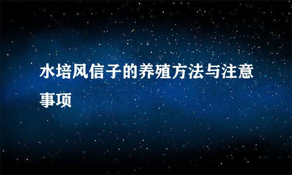 水培风信子的养殖方法与注意事项