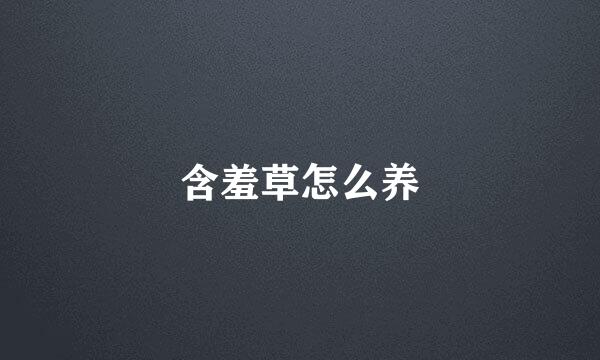 含羞草怎么养