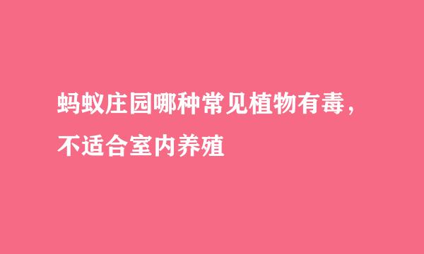 蚂蚁庄园哪种常见植物有毒,不适合室内养殖