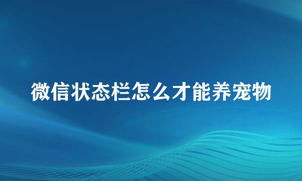 微信状态栏怎么才能养宠物