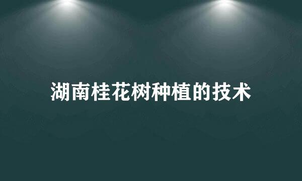 湖南桂花树种植的技术