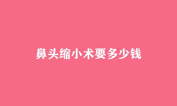 鼻头缩小术要多少钱