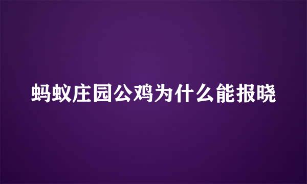 蚂蚁庄园公鸡为什么能报晓