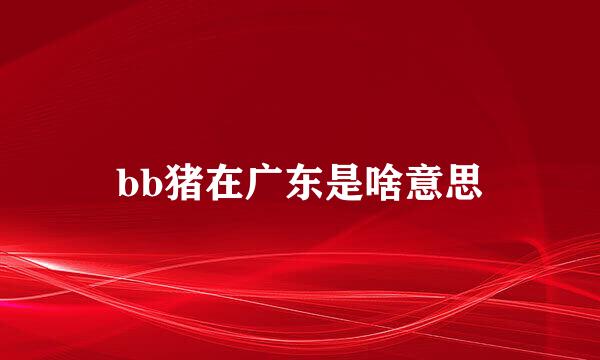 bb猪在广东是啥意思