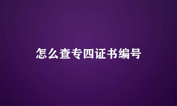 怎么查专四证书编号