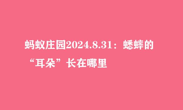 蚂蚁庄园2024.8.31：蟋蟀的“耳朵”长在哪里