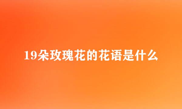 19朵玫瑰花的花语是什么